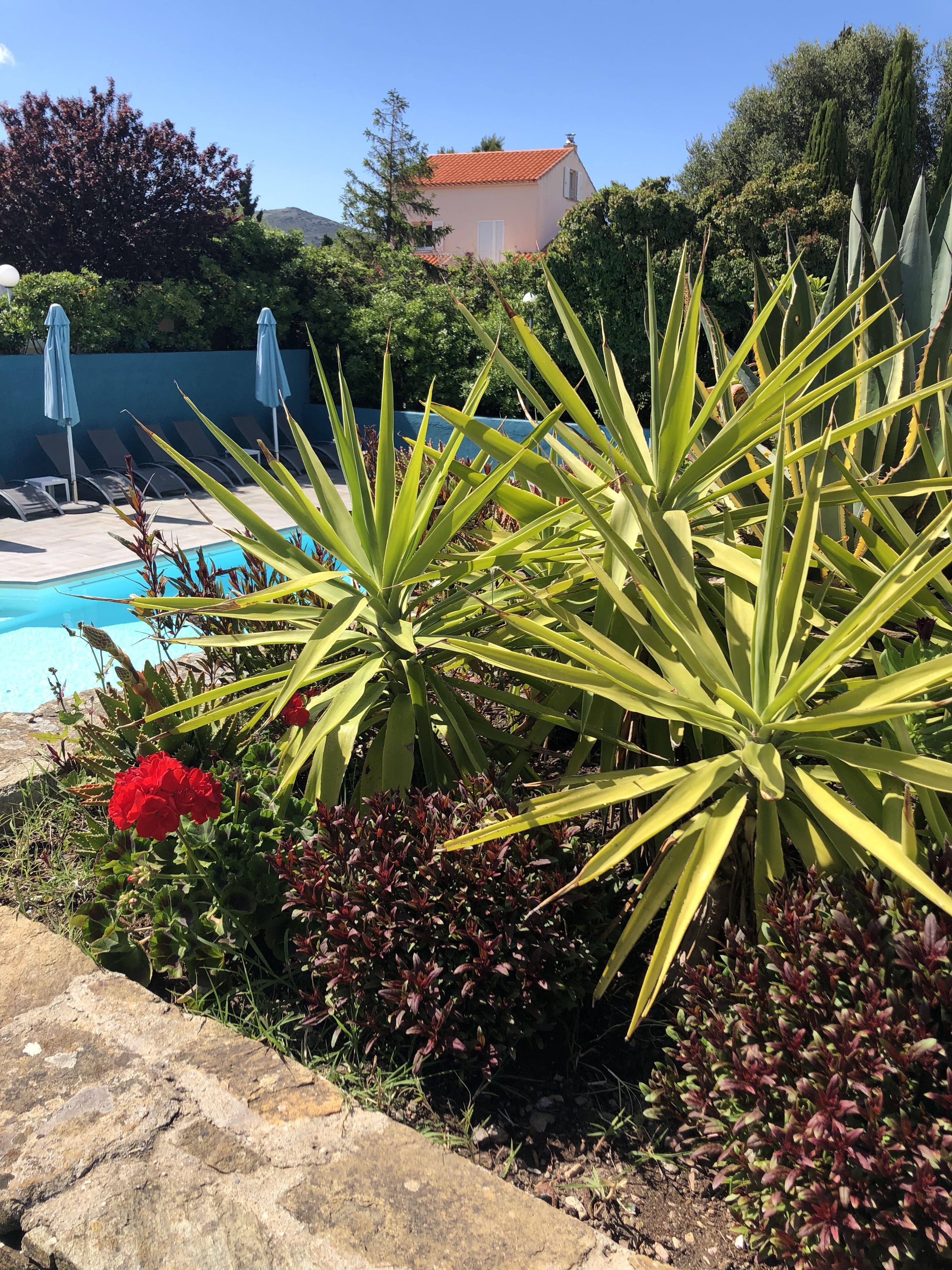 Hotel U Ricordu & Spa Macinaggio  Eksteriør billede